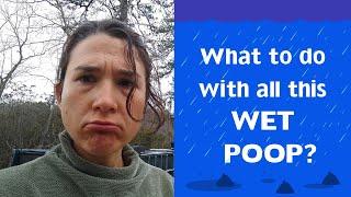 What to do With All This Wet Dog Poop? ...and How to Compost it