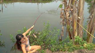 Best Fishing Video 2023  Beautiful Girl And Giant Fish  Hook Fishing