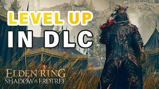 How to LEVEL in the DLC ► Elden Ring DLC