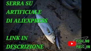 SPINNING AL SERRA minnow affondante di aliexpress in cattura