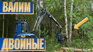 Как валить двойные деревья? How to cut a twin trees&