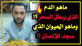 ماهو الد م الذي يبطل السحر⁉️ وماهو الحيوان الذي سجد للإنسان⁉️