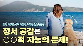 정서 공감은 oo적 지능의 문제라고?ㅣ서울대 교육학과 신종호 교수의 감정 수업