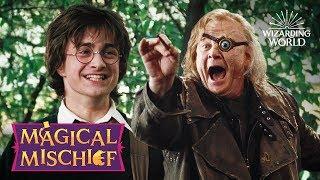 Try Not To Laugh Harry Potter Challenge  Magical Mischief  Wizarding World