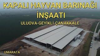 KAPALI HAYVAN BARINAĞI İNŞAATI  SÜT ÇİFTLİĞİ  ÇANAKKALE