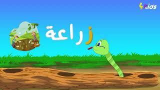 تعرف على حروف الهجاء العربية ..حرف الزاي