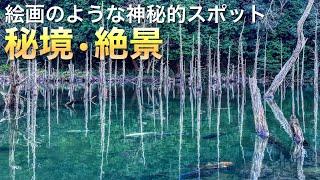 【山口県】秘境•絶景めぐり旅  定番から穴場まで！絵画のような神秘的な山口県観光スポット  秋芳洞、角島大橋、元乃隅神社、一の俣桜公園•蒼霧鯉池、別府弁天池