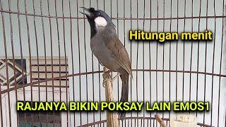 poksay hongkong gacor istimewa