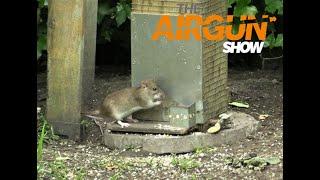 The Airgun Show – day and night ratting PLUS how to improve your airgun accuracy…