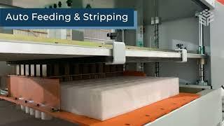 Smart Stripping