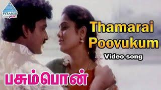 Thamarai poovukum song lyrics  Pasumpon  vidyasagar Sujatha krishnachandar