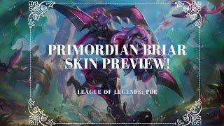 Primordian Briar Skin Preview  League of Legends PBE