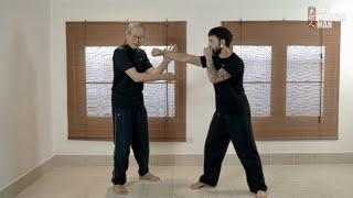 Cutting using intention Yi 意 demonstrated by Master Yap Boh Heong