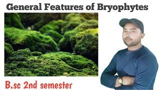 General Features of Bryophytes & General character of Bryophytes B.sc 2nd semester