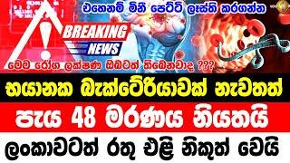 HIRU NEWS   BREAKING NEWS  ada derana   hiru BREAKING NEWS  Today Here is special news just rec