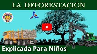 DEFORESTACIÓN  Tala de los árboles  Videos Educativos Para Niños