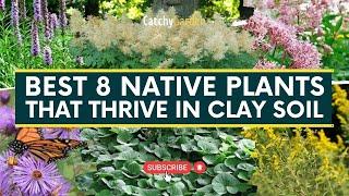 Best 8 Native Plants That Thrive in Clay Soil   Gardening Tips