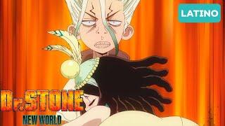 Tu compa el inmune a toda muestra de afecto   Dr. STONE Season 3 Doblaje latino