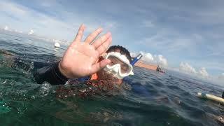 Balicasag Snorkeling 3