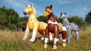 The Horseplay Toys vintage inflatable animal collection