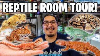 Reptile Room Tour Pet Room