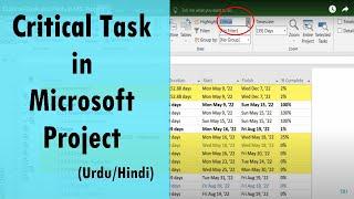 how to make a task critical in ms Project  critical task not showing? UrduHindi