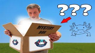 UNBOXING A *SUPER RARE* MYSTERY AXOLOTL