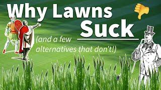 Why Lawns Suck And A Few Alternatives That Dont