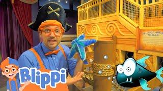 Blippi Visits Discovery Childrens Museum   Animals for Kids  Animal Cartoons