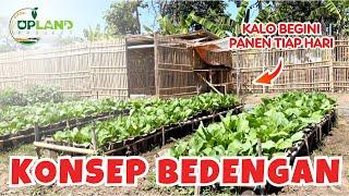 4 Konsep Bedengan untuk Pertanian 1005 - Konsep Pertanian Organik  UPLAND Project