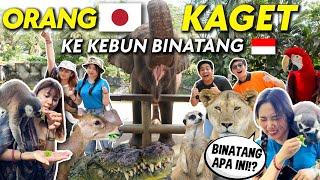 CEWEK JEPANG & KOREA KAGET LIHAT KEBUN BINATANG INDONESIA BALI ZOO 