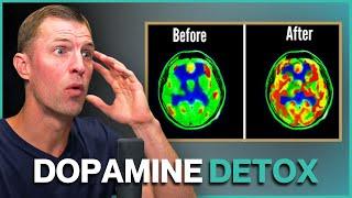 Dopamine Detox Reset Your Brains Reward System for Better Focus and Motivation