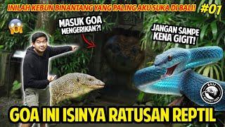 GREBEK BALI REPTILE PARK INI KEBUN BINATANG PALING AKU SUKA DI BALI MASUK GOA PENUH REPTIL #part1