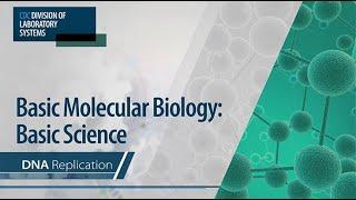 Basic Molecular Biology Basic Science – DNA Replication