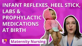 Infant Reflexes Heel Stick Labs and Prophylactic Medications at Birth - Maternity  @LevelUpRN