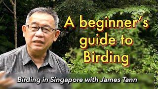 A Beginners Guide to Birding - Anyone can go Birding