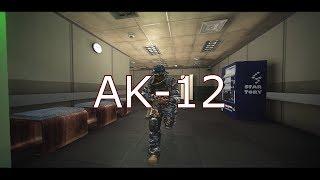 AK-12 Guerilla FragShow