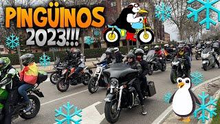 LOCURA EN PINGÜINOS 2023 LA CONCENTRACIÓN DE MÁS DE 40.000 MOTEROS 