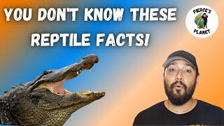 5 Interesting Reptile Facts You Didnt Know
