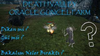 Rise Online Death Valley Oracle Farmı  Diken mi Gül mü ? Denemeye Değer Mi ?