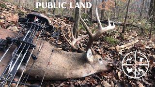 Southern Public Land....Archery Hunt