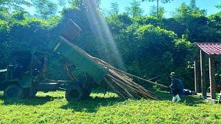 The process of moving trees to the farm to prepare to build a sturdy wooden house