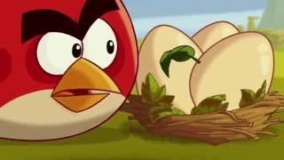 Злые птички Angry Birds Toons 1 сезон 22 серия Яйцо не дома все серии подряд