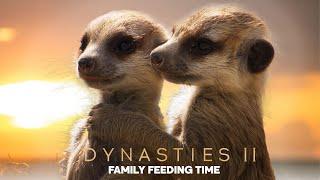 Whats On The Menu for Meerkats?  Dynasties II  BBC Earth