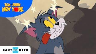 Was für ein Glück für New York City  Tom und Jerry  Cartoonito