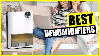 TOP Best Dehumidifier for Home 2024