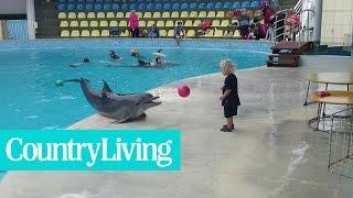 Adorable Toddler Plays Fetch With Playful Dolphin  Country Living