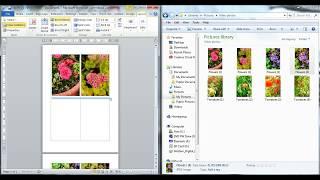 Drag and drop a picture into Word Document Easily - WITHOUT picture distortion.