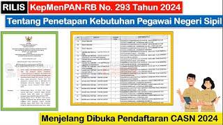 RILIS KepMenPAN-RB No. 293 Tahun 2024 Tentang Penetapan Kebutuhan Pegawai Negeri Sipil Tahun 2024