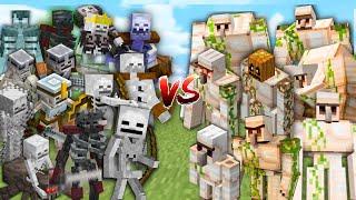 IRON GOLEM TEAM vs SKELETON TEAM in Minecraft Mob Battle